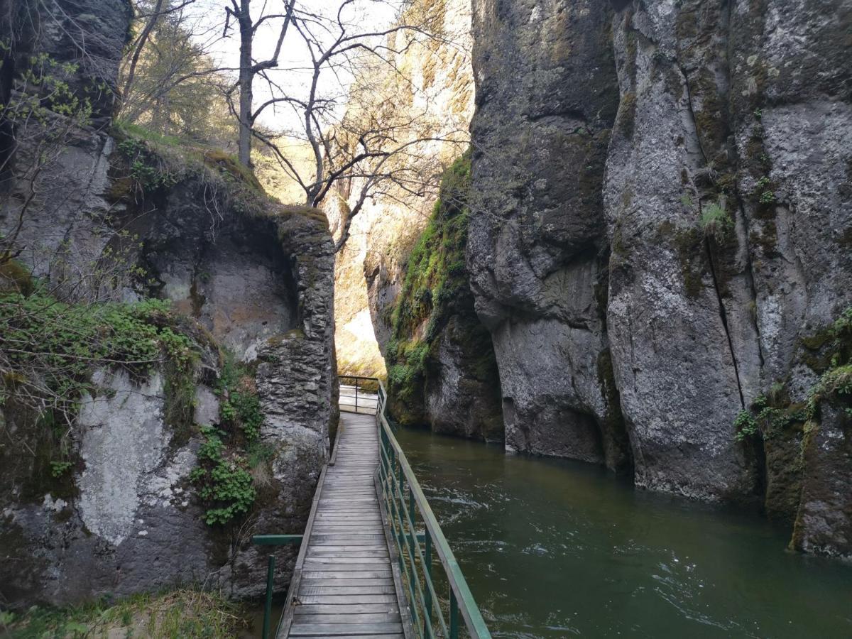 Къща Томови,Стаи За Гости デヴィン エクステリア 写真